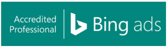 bing ads agency ecom conversion